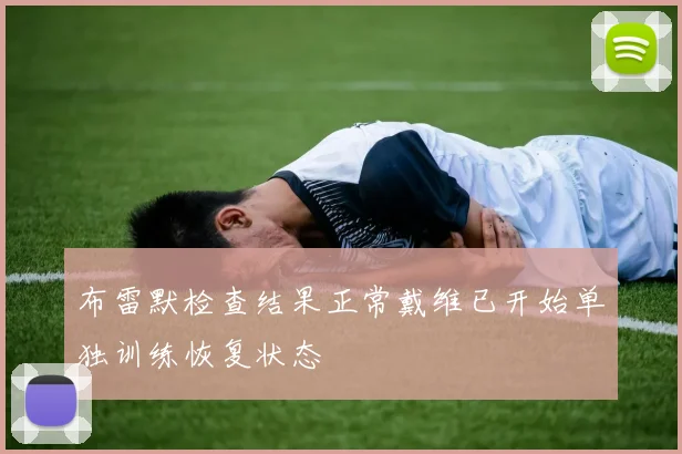 布雷默检查结果正常戴维已开始单独训练恢复状态