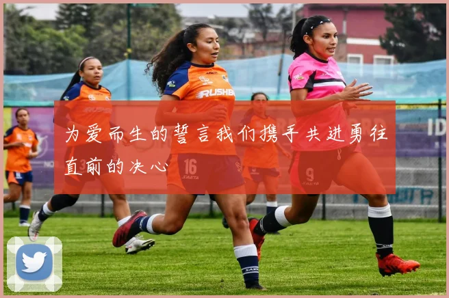 为爱而生的誓言我们携手共进勇往直前的决心