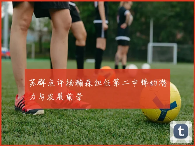 苏群点评杨瀚森担任第二中锋的潜力与发展前景