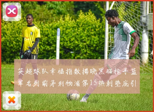 英超球队幸福指数揭晓黑猫枪手蓝军名列前茅利物浦第15热刺垫底引关注