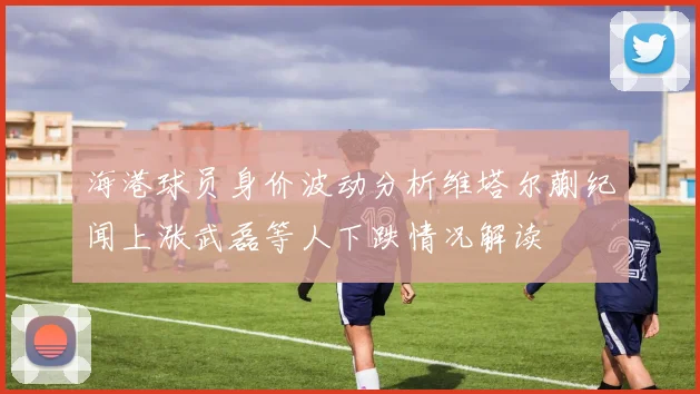 海港球员身价波动分析维塔尔蒯纪闻上涨武磊等人下跌情况解读