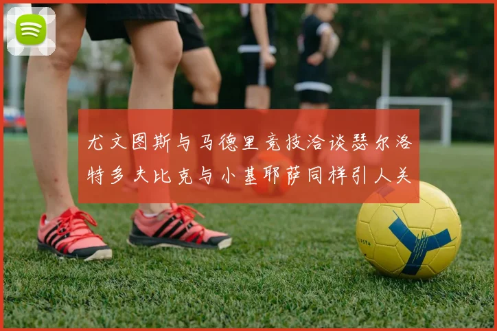 尤文图斯与马德里竞技洽谈瑟尔洛特多夫比克与小基耶萨同样引人关注