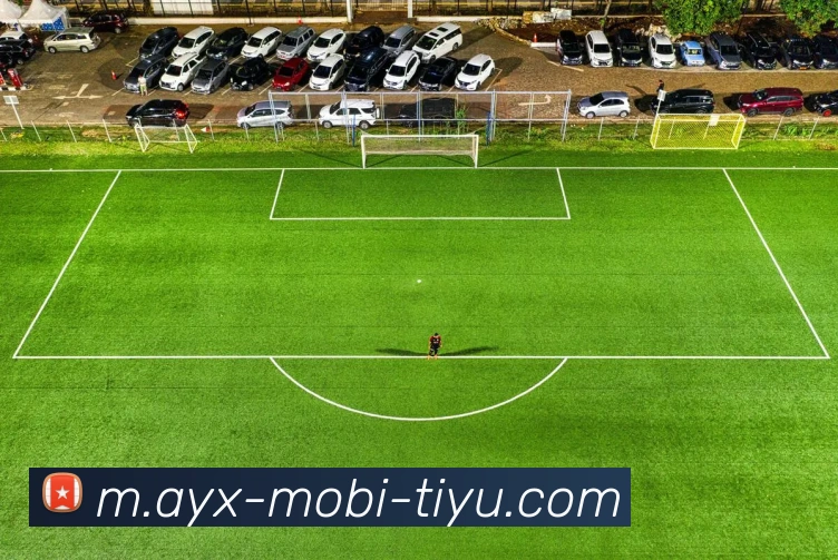 多媒体互动体验