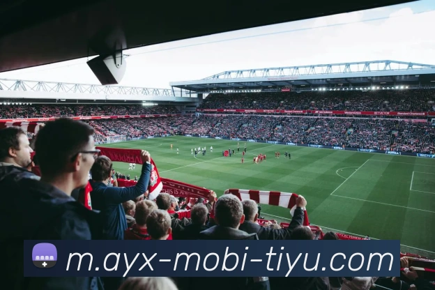 爱游戏APP 高清赛事图